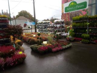 Fleuriste Arbres Et Fleurs Vitry 0