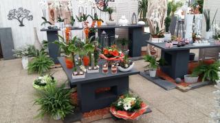 Fleuriste Rocher Fleurs Earl 0