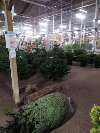 Fleuriste Les Jardins du Sonnenhof 0