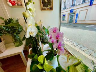 Fleuriste Fleuriste Aux Fleurs de Vie 0