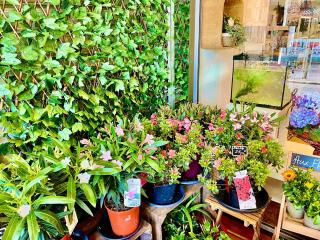 Fleuriste Fleuriste Aux Fleurs de Vie 0