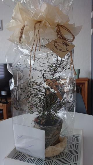 Fleuriste Le Bouquet Royal 2