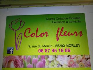 Fleuriste CoLor fleurs 0