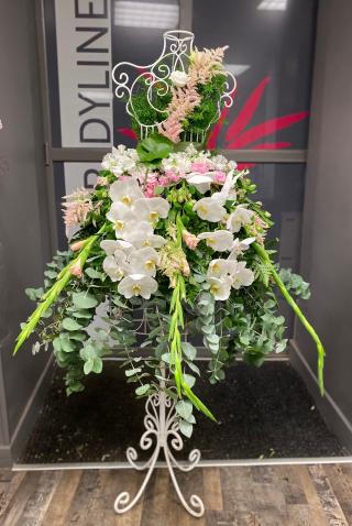 Fleuriste Cordyline Fleuriste 0