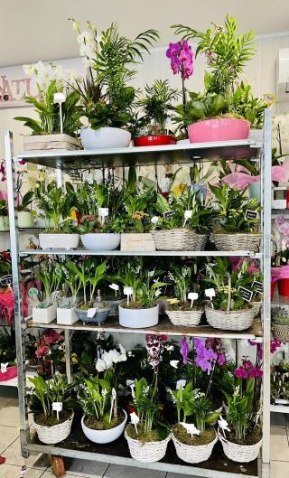 Fleuriste Fleuriste GOUSSAINVILLE La Virgule Verte 2