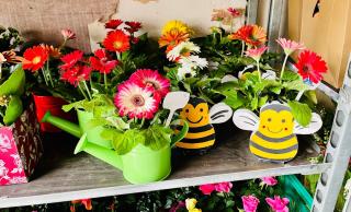 Fleuriste Fleuriste GOUSSAINVILLE La Virgule Verte 0