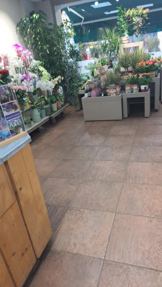 Fleuriste Le Jardin des Fleurs 0