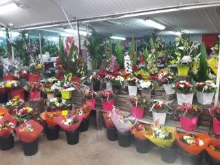 Fleuriste L'atelier aux roses 0