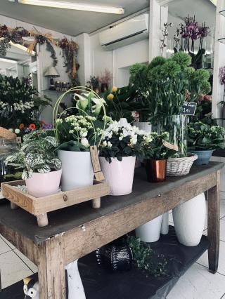 Fleuriste Chrysantie Fleurs 0