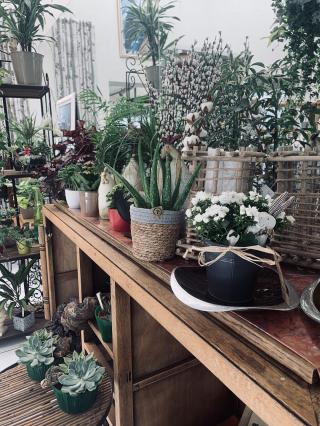 Fleuriste Chrysantie Fleurs 0