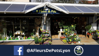 Fleuriste A Fleurs de Pots LYON 9 ème 0