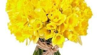 Fleuriste Les Fleurs Du Vent 1