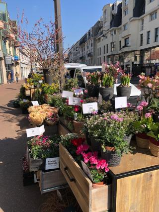 Fleuriste Baesler Fleuriste 0