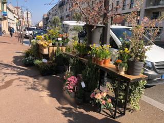 Fleuriste Baesler Fleuriste 0