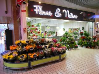 Fleuriste Fleurs & Nature 0