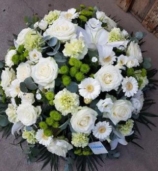 Fleuriste Panama Et Fils 0