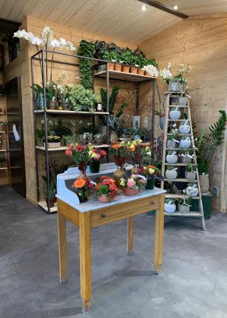 Fleuriste Esprit Nature 74 0