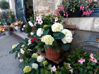 Fleuriste Les fleurs de Laurette 2