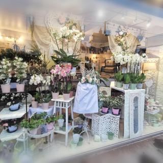 Fleuriste LES FLEURS DE COLETTE 0
