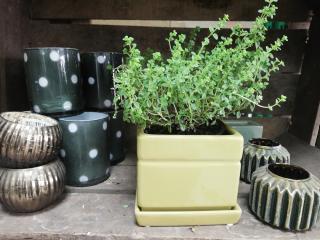 Fleuriste Servifleurs Libre Service Fleurs Et Plantes 0