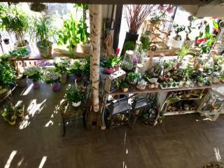 Fleuriste Art et Fleurs 2