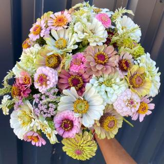 Fleuriste Fleurs Raison 0