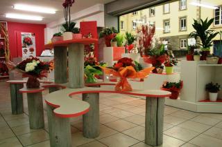 Fleuriste Aux Fleurs de l'Aulne 1