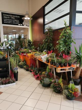 Fleuriste Le Petit Coquelicot Rioz 0