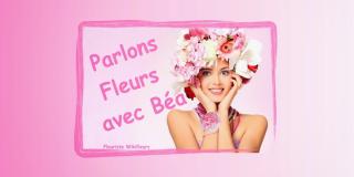Fleuriste Parlons fleurs avec Béa 0