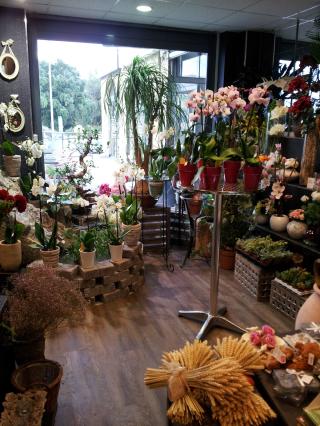 Fleuriste Atelier de Créations Florales Rose Rouge 0