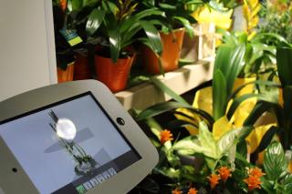 Fleuriste Le Jardin des Fleurs 0