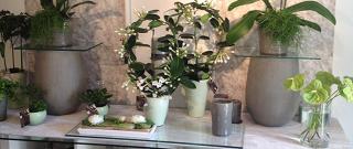 Fleuriste Fleuriste Histoire de Fleurs 0