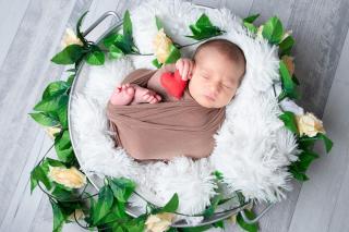 Fleuriste Fleuriste Bouchain - Glorioza 0