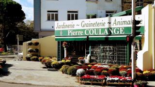 Fleuriste Jardinerie Coulange 0