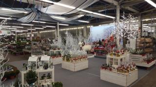 Fleuriste Truffaut 0