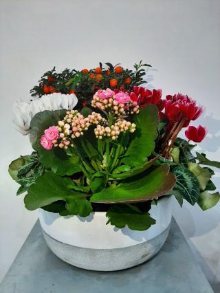 Fleuriste Kaya Fleurs 0