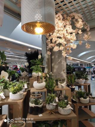 Fleuriste Le Lys Blanc Golbey Artisan fleuriste 0