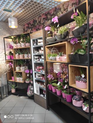 Fleuriste Le Lys Blanc Golbey Artisan fleuriste 0