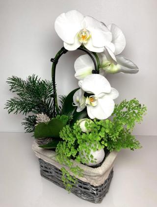 Fleuriste L'atelier floral des 4 saisons 0