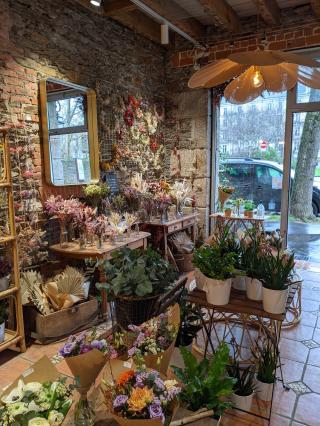Fleuriste Le détail - commerce végétal 0