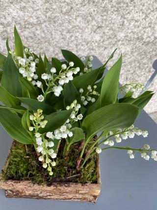 Fleuriste Fleurs Chez Elles 0