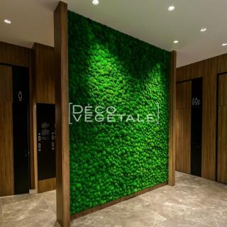 Fleuriste Deco Vegetale 0