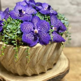 Fleuriste Kintesens, Artisan Fleuriste à Haguenau 0