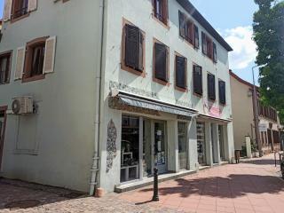 Fleuriste Echinops 0