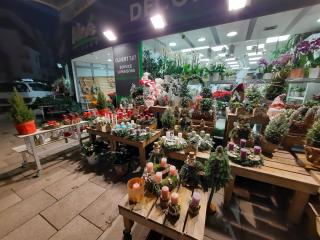 Fleuriste Aloé Fleurs Forbach 1