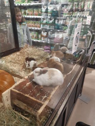 Fleuriste Truffaut 0