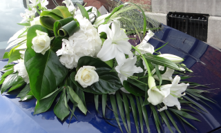 Fleuriste L'OLIVIER BLANC HEM 0