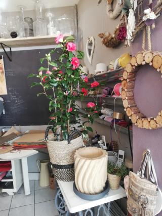 Fleuriste Tamaya Bis, l'insolite 0