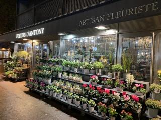 Fleuriste Fleurs d'Antony 0