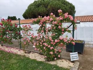 Fleuriste Roseraie de la Mérinière 0